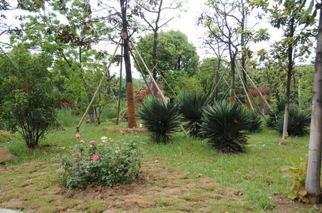 �������ս�����̳- ��Ȩ���Ĳ��˵�����