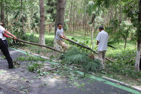 �������ս�����̳- ��Ȩ���Ĳ��˵�����