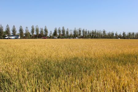 �������ս�����̳- ��Ȩ���Ĳ��˵�����