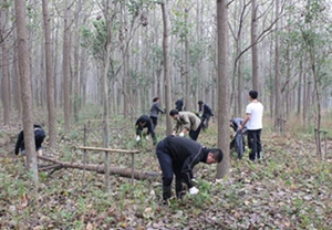 �������ս�����̳- ��Ȩ���Ĳ��˵�����