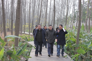 �������ս�����̳- ��Ȩ���Ĳ��˵�����