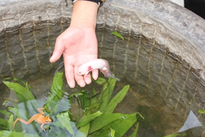 �������ս�����̳- ��Ȩ���Ĳ��˵�����