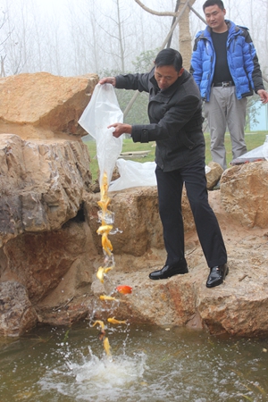 �������ս�����̳- ��Ȩ���Ĳ��˵�����