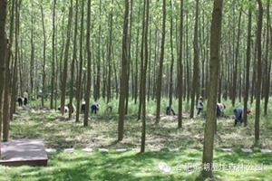 �������ս�����̳- ��Ȩ���Ĳ��˵�����