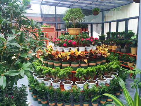 �������ս�����̳- ��Ȩ���Ĳ��˵�����