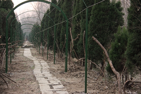 �������ս�����̳- ��Ȩ���Ĳ��˵�����