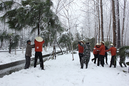 �������ս�����̳- ��Ȩ���Ĳ��˵�����