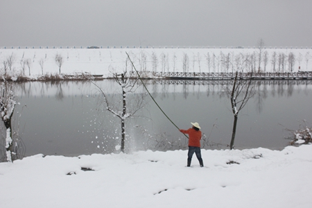 �������ս�����̳- ��Ȩ���Ĳ��˵�����