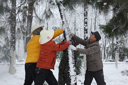 �������ս�����̳- ��Ȩ���Ĳ��˵�����