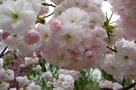 �������ս�����̳- ��Ȩ���Ĳ��˵�����