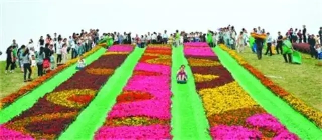 �������ս�����̳- ��Ȩ���Ĳ��˵�����