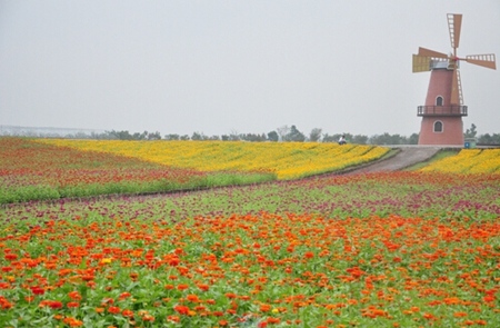 �������ս�����̳- ��Ȩ���Ĳ��˵�����