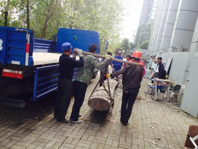 �������ս�����̳- ��Ȩ���Ĳ��˵�����