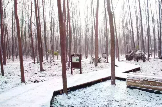 �������ս�����̳- ��Ȩ���Ĳ��˵�����