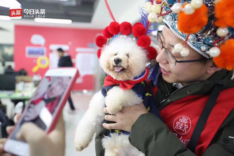 微信图片_20180122194218.jpg 微信图片_20180122194218.jpg