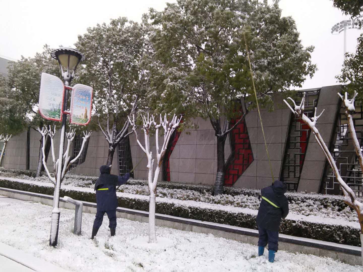 ͼƬ_20190109144951.jpg ͼƬ_20190109144951.jpg