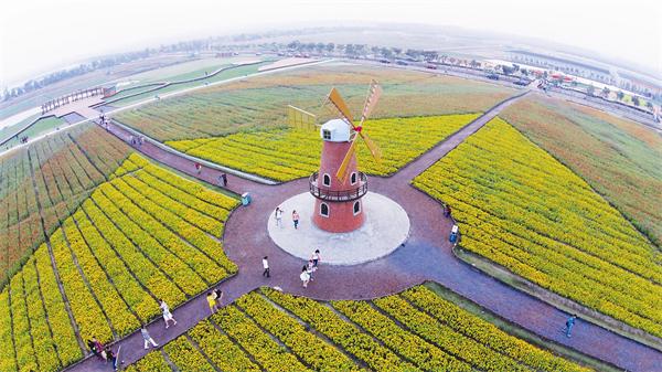 �������ս�����̳- ��Ȩ���Ĳ��˵�����