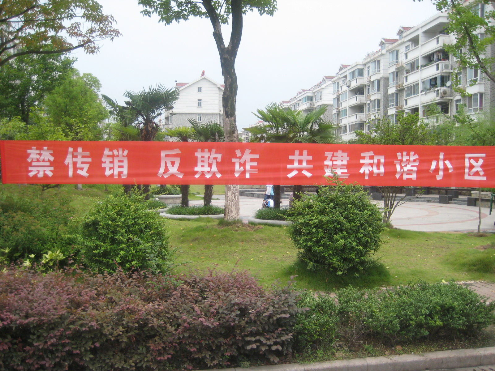 �������ս�����̳- ��Ȩ���Ĳ��˵�����