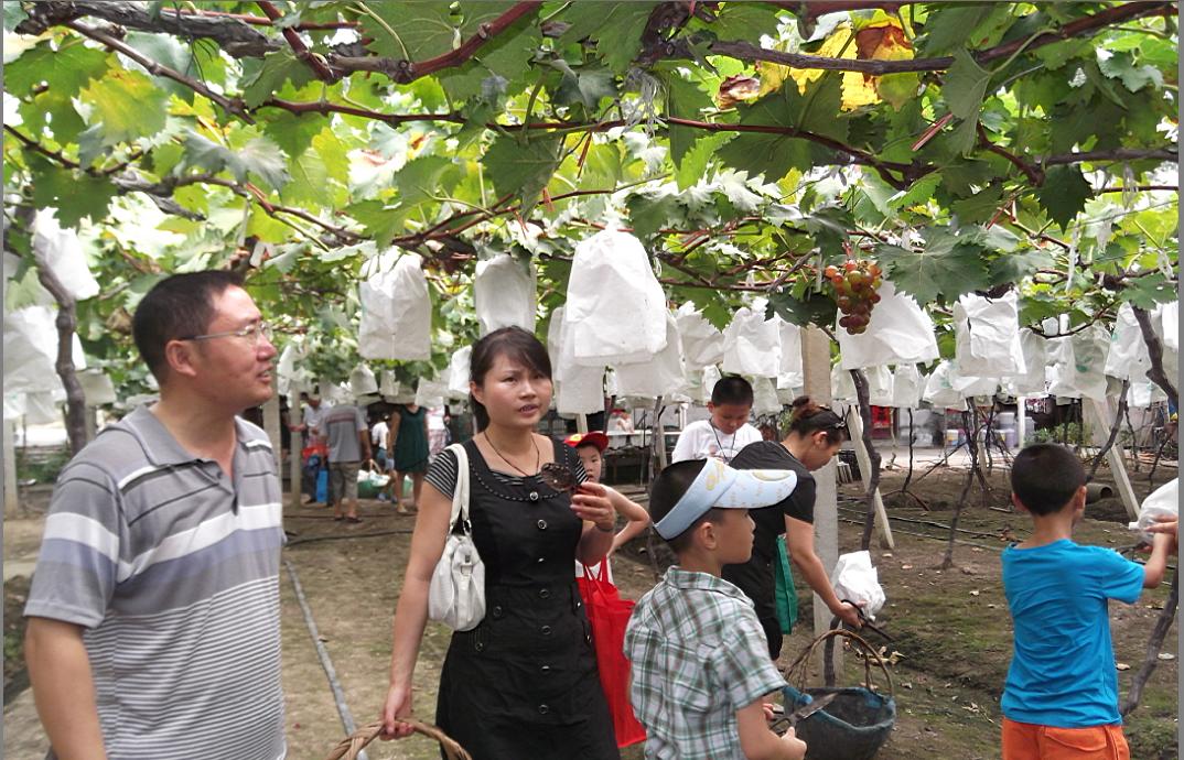 �������ս�����̳- ��Ȩ���Ĳ��˵�����