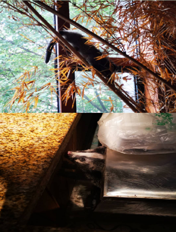 �������ս�����̳- ��Ȩ���Ĳ��˵�����