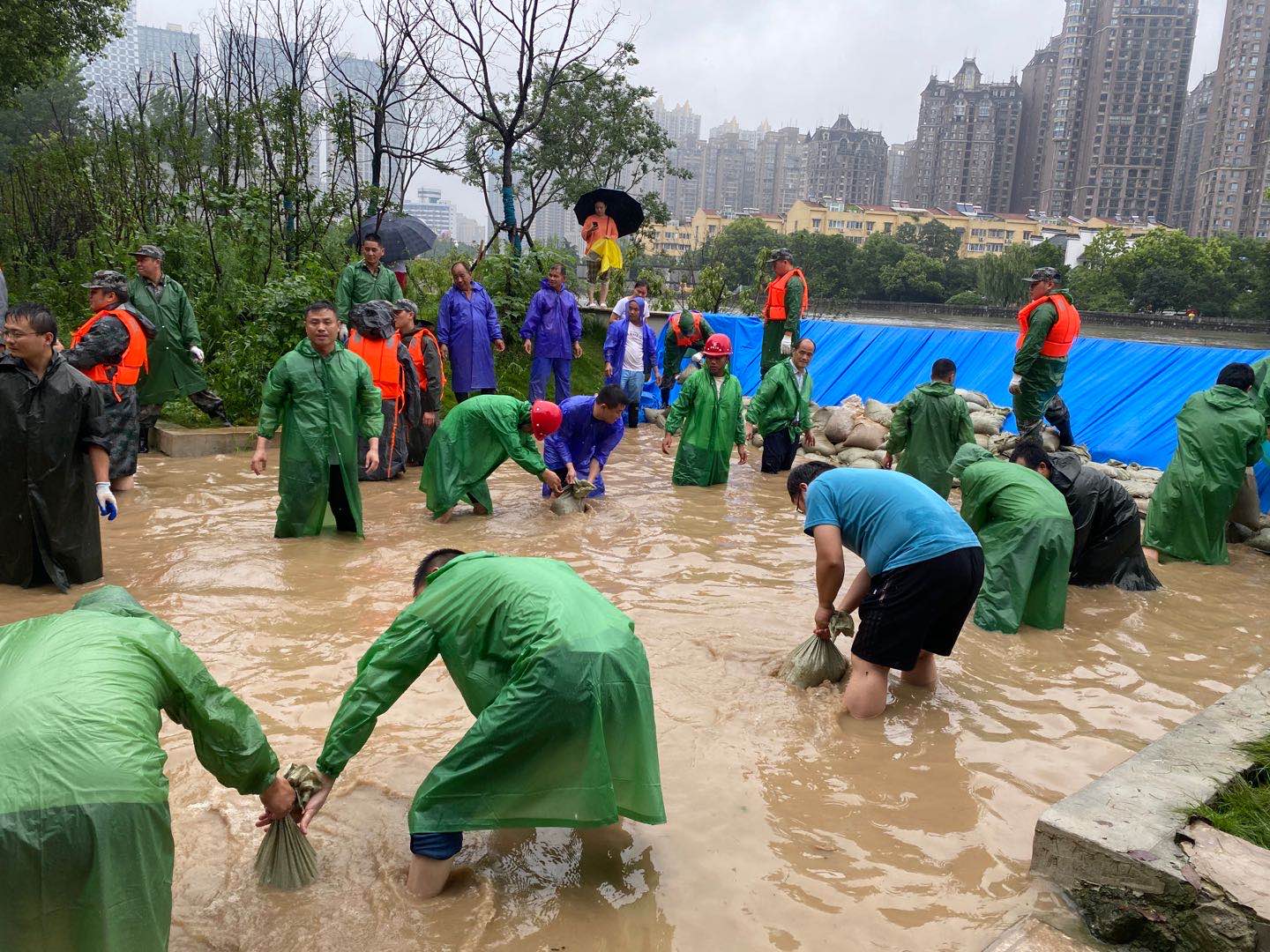 �������ս�����̳- ��Ȩ���Ĳ��˵�����