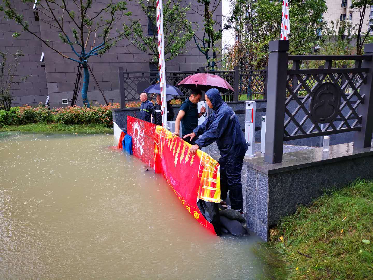 �������ս�����̳- ��Ȩ���Ĳ��˵�����