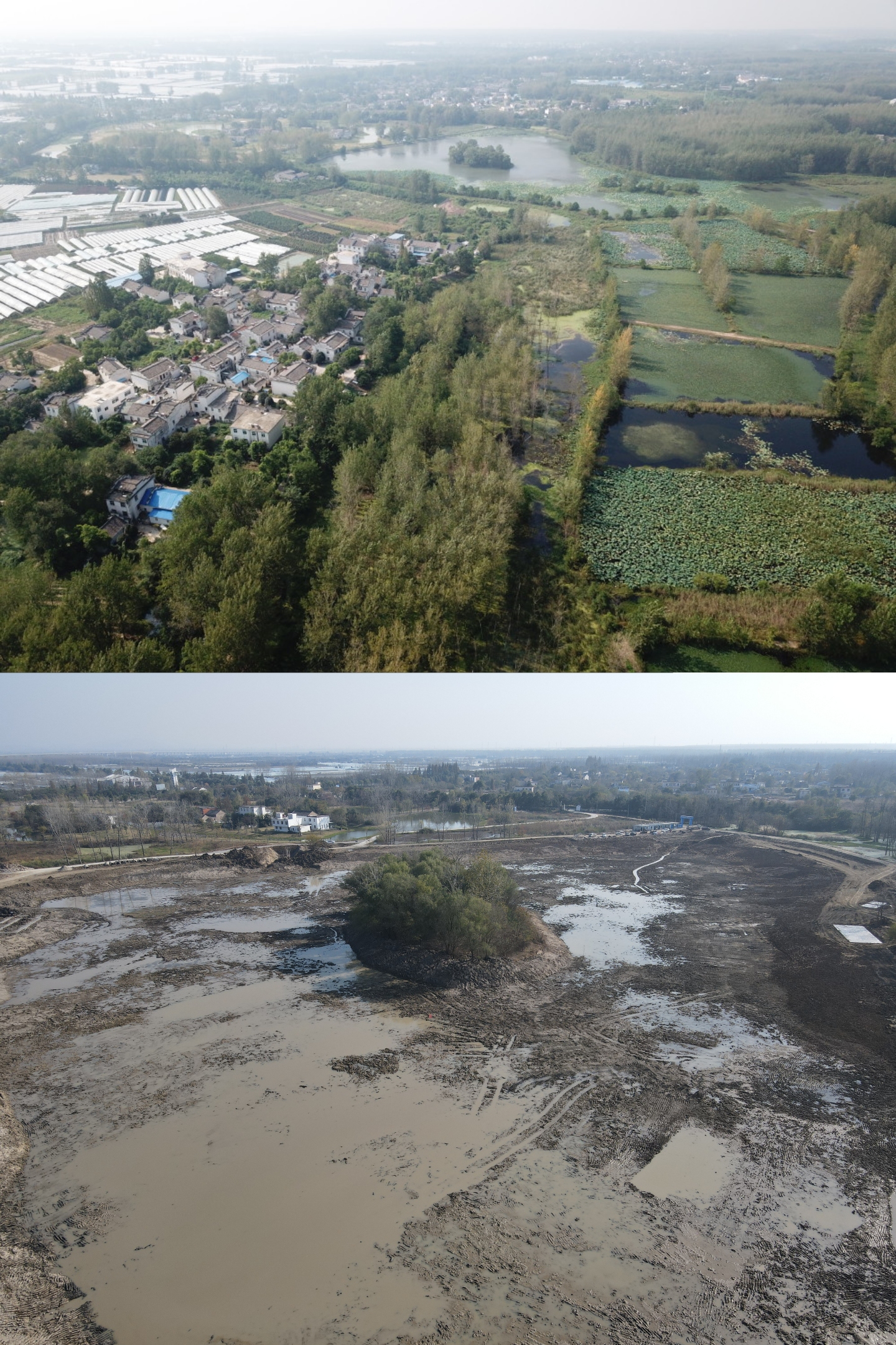 ˮϵ������ǰ�����