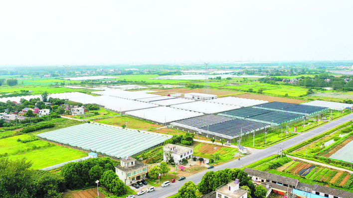 �������ս�����̳- ��Ȩ���Ĳ��˵�����