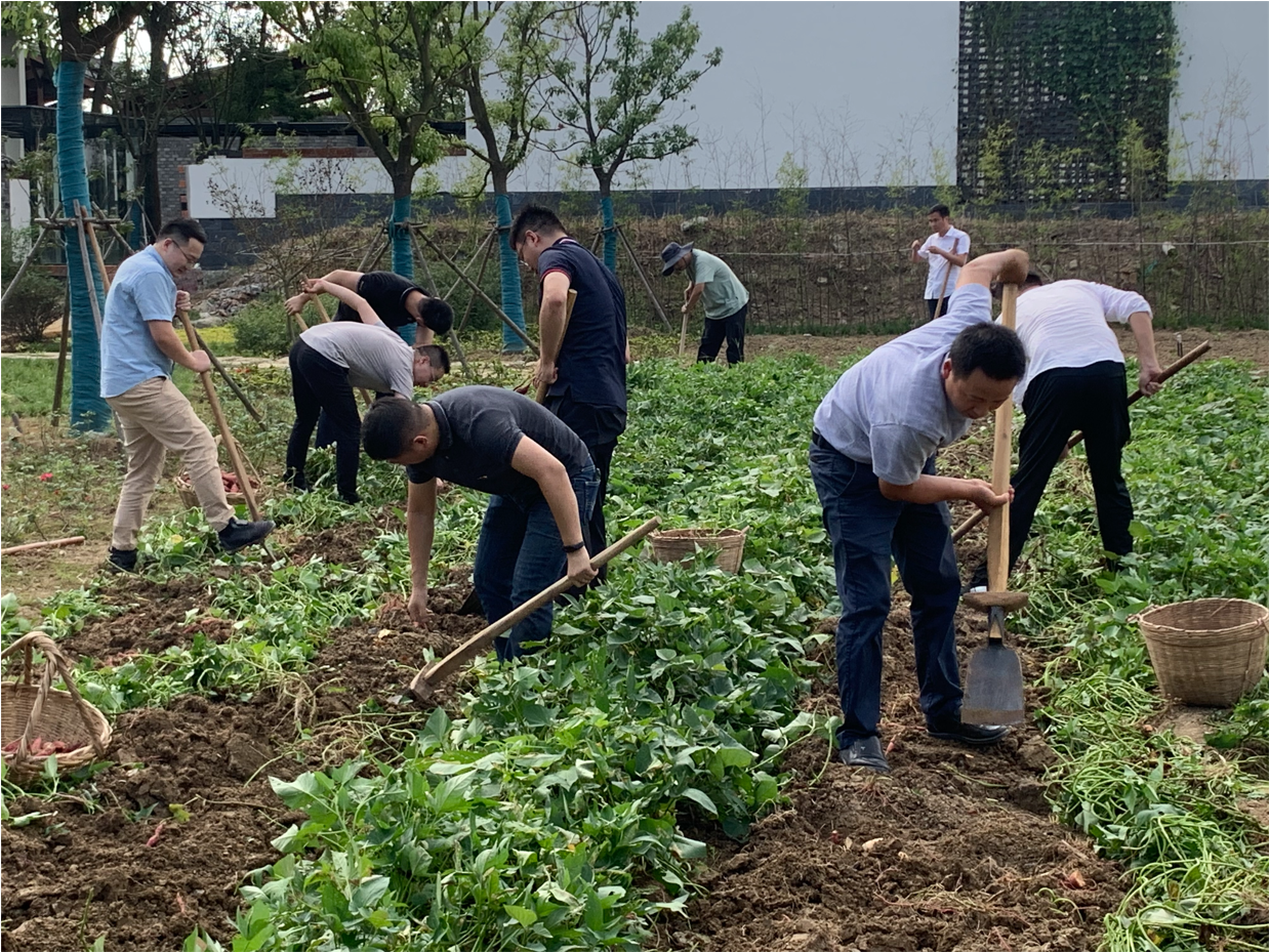 �������ս�����̳- ��Ȩ���Ĳ��˵�����