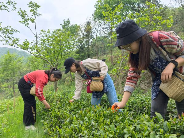 �������ս�����̳- ��Ȩ���Ĳ��˵�����