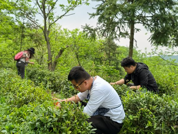 �������ս�����̳- ��Ȩ���Ĳ��˵�����