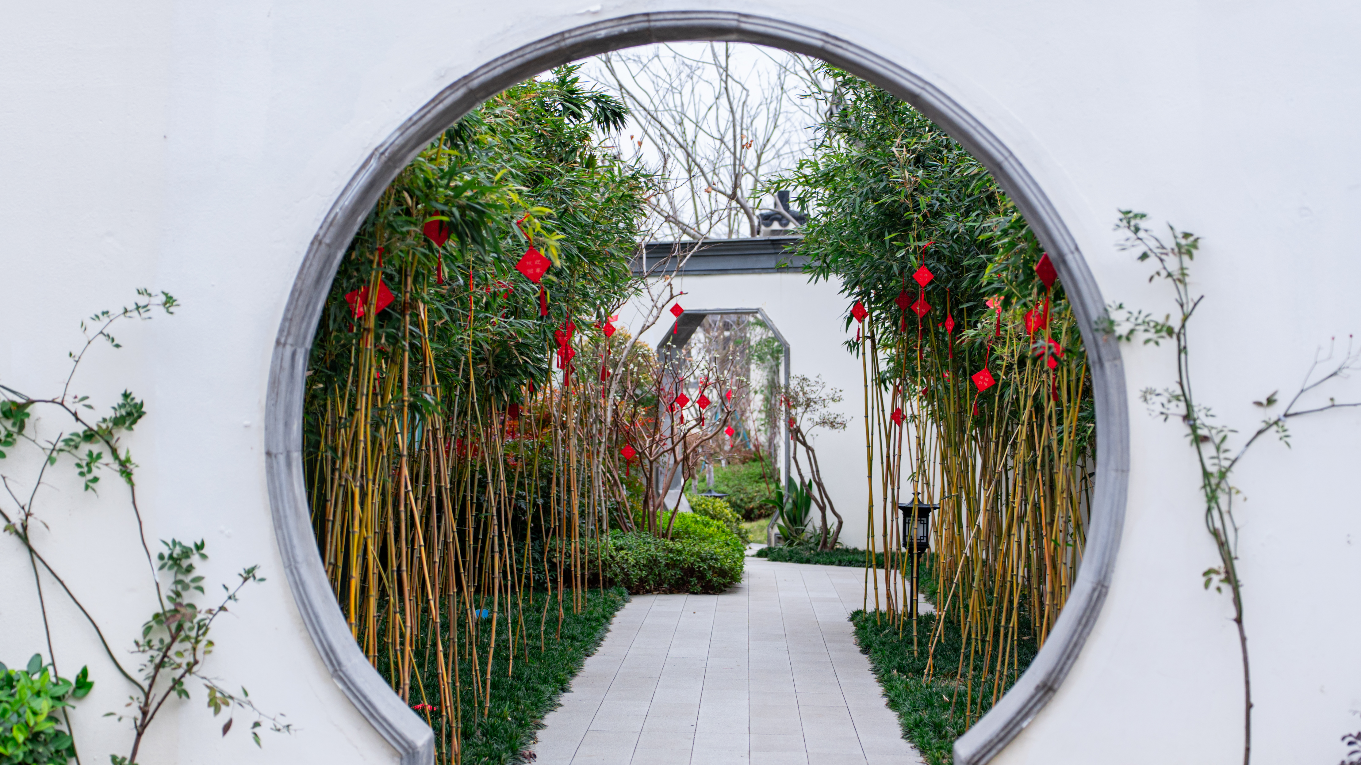 �������ս�����̳- ��Ȩ���Ĳ��˵�����